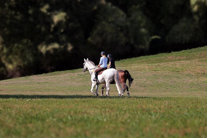 Day Trip: Lasagna Cooking Class With Lunch + Horse Riding in Umbria - Cancellation Policy