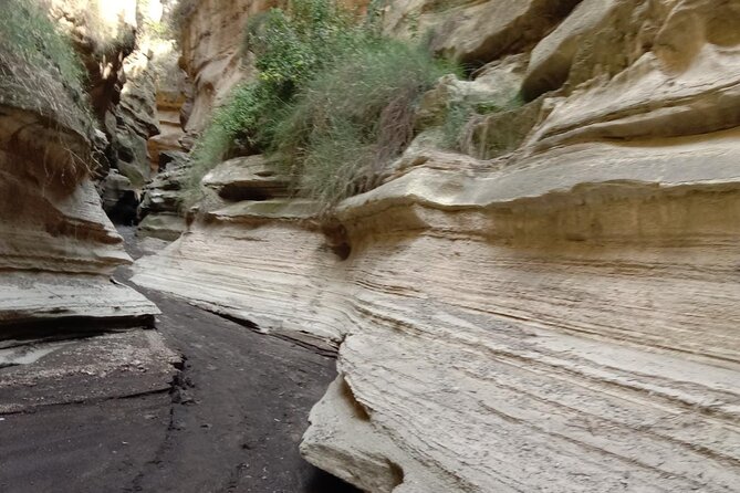 Day Trip Nairobi to Hells Gate National Park and Lake Naivasha - Boat Ride Option