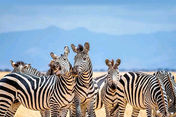 Day Trip Safari to Selous Game Reserve - Accessibility Information