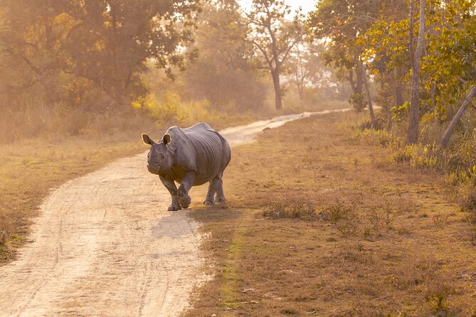 Day Trip to Kaziranga National Park (Guided Private Tour From Guwahati) - Tour Customization Options