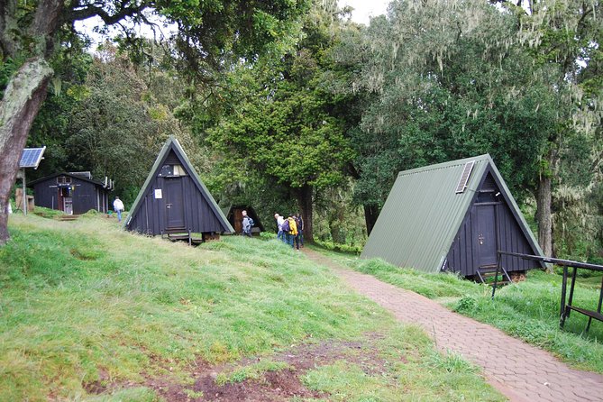 Day Trip to Kilimanjaro Hike to Mandara Hut - Planning Your Day