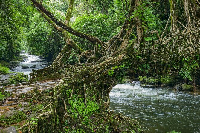 Day Trip to Mawlynnong (Guided Private Sightseeing Experience From Shillong) - Pricing Details