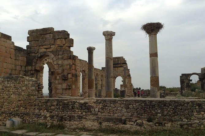 Day Trip to Meknes, Moulay Idriss & Volubilis From Fez - Pricing and Reservation Options
