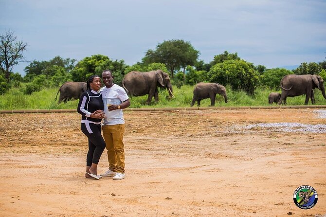 Day Trip to Mikumi National Park: Fly-In From Zanzibar - Travel Logistics