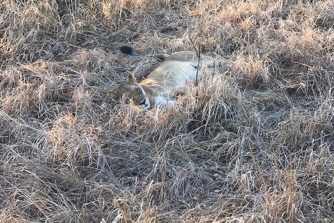 Day Trip to Tarangire National Park From Arusha - Wildlife Spotting Opportunities