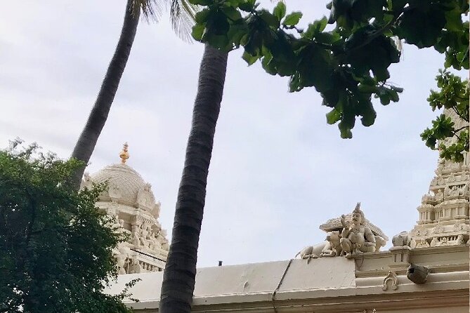 Day Trip To Tiruvannamalai From Chennai With Lunch - Recommendations and Tips