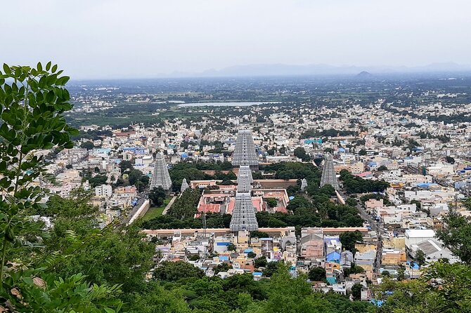 Day Trip to Tiruvannamalai Temple &Sri Ramana Ashram From Pondicherry With Lunch - Temple Visit Timings