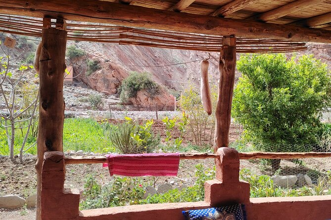 Day With Berbers Discover the Country Differently - Cultural Experience