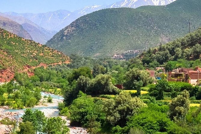 Desert Agafay Day Trip From Marrakech Berber Villages & Waterfalls & Camel Ride - Expectations and Additional Info