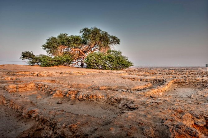 Desert Secrets - Historical Treasures