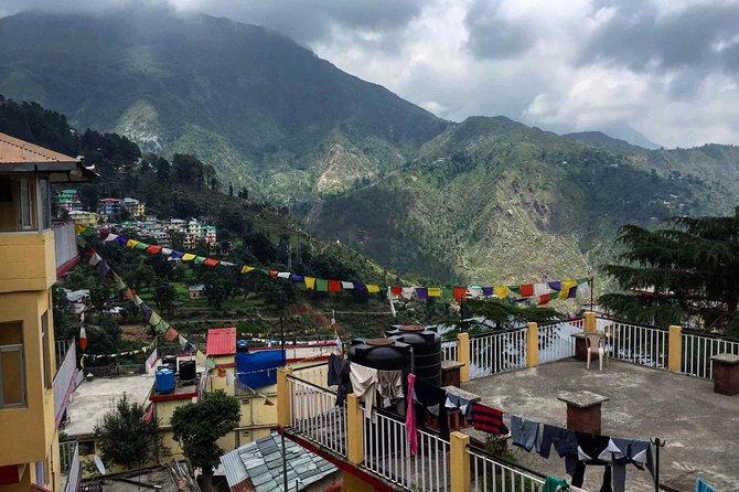 Dharamshala & Palampur Tea Gardens From Chandigarh - Tea Tasting in Palampur