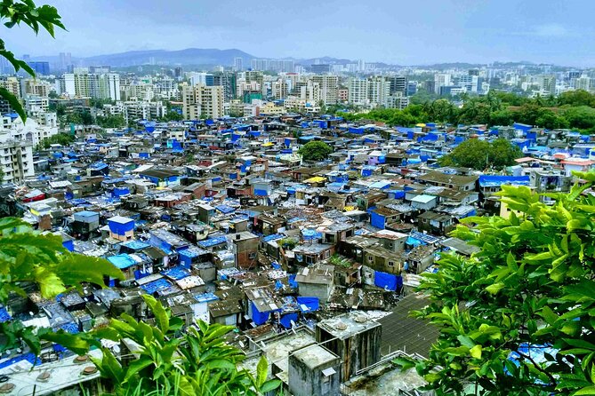 Dharavi Slum Tour With Guide - Booking Details