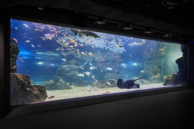 Discounted Entry Ticket for Gwanggyo Aqua Planet (Not Available for Korean Nationals) - Frequently Asked Questions