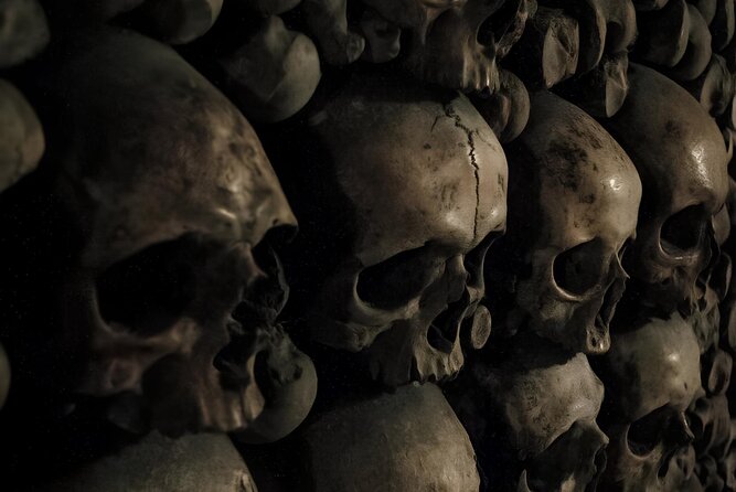 Discover Notre Dame's Crypt + Catacombs of Paris Tickets - Maximum Travelers Allowed
