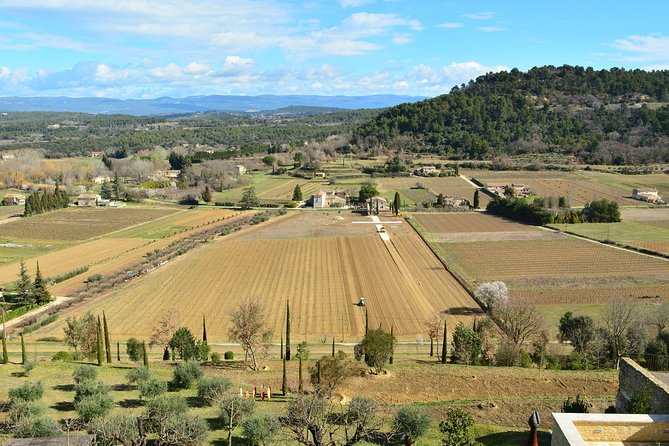 Discover Provence Including Avignon and Luberon Villages With a Local Guide - Pricing and Reservations