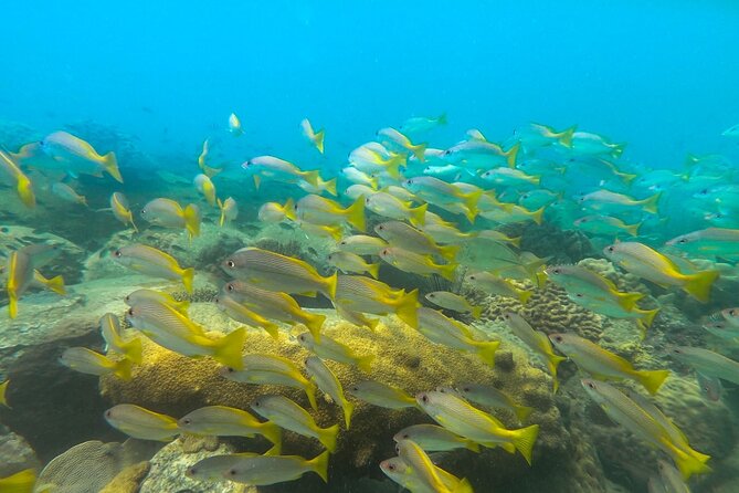 Discover Scuba Diving in Koh Rong - Important Reminders