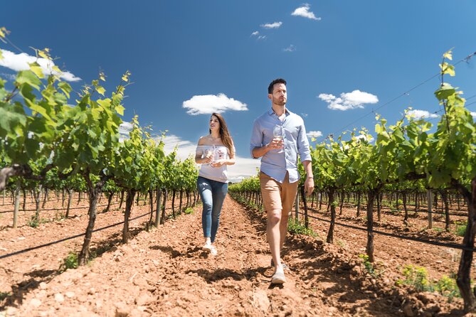 Discover the Essence of Ibiza'S Rich Wine Culture - Booking and Reservation Details