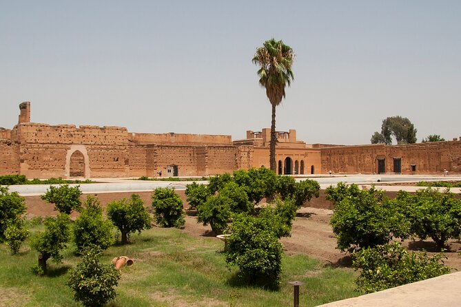 Discover the History and Culture of Marrakech Private Day Tour - Tour Experience