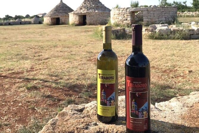 Divine Wine & Olive Oil Tasting in Istria Full-day Tour - Pickup Details