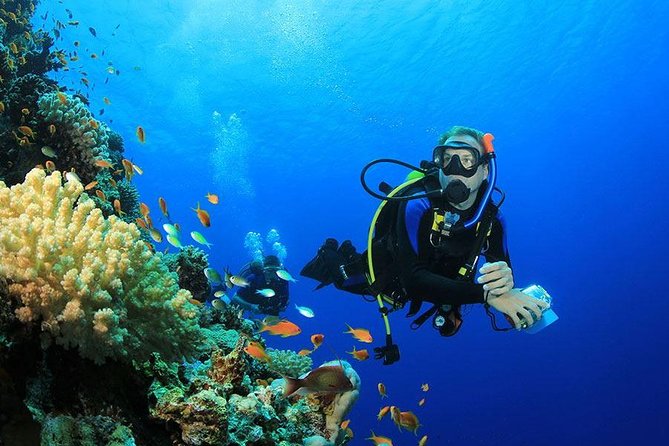 Diving Full Day For Beginners Boat Trip 2 Stops Diving and Lunch – Marsa Alam - Pickup Information