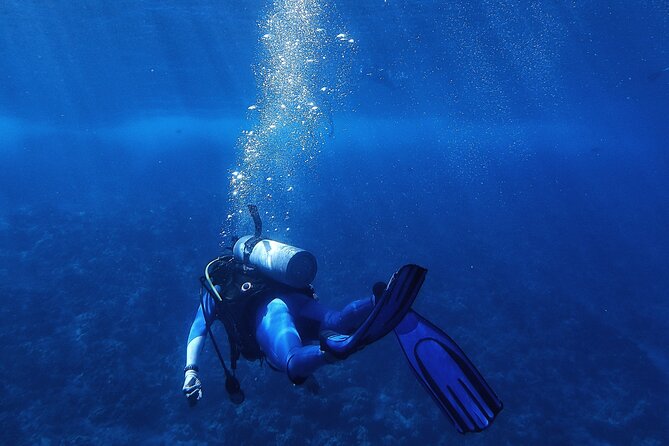 Diving Trip In Sharks Bay - Exclusions and Tips