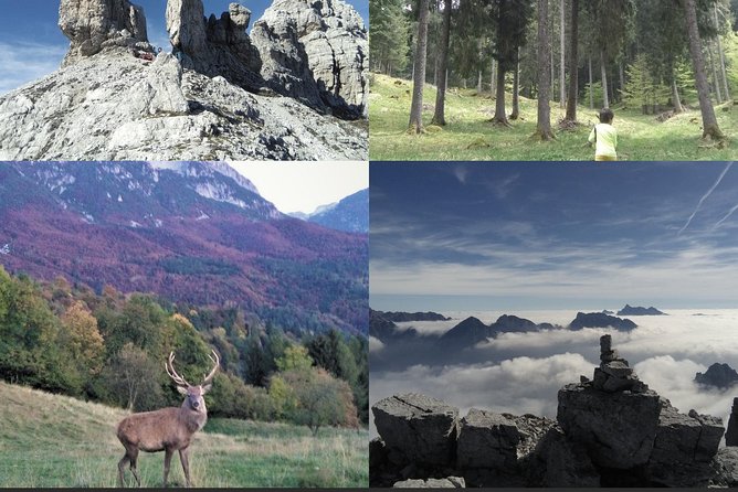 Dolomites Hiking Tour - Health and Fitness Requirements