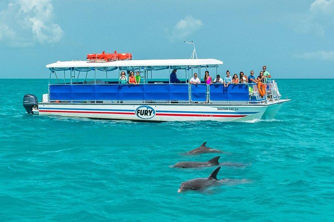 Dolphin Full Day Snorkeling Tour From Hurghada - Tour Operator Information