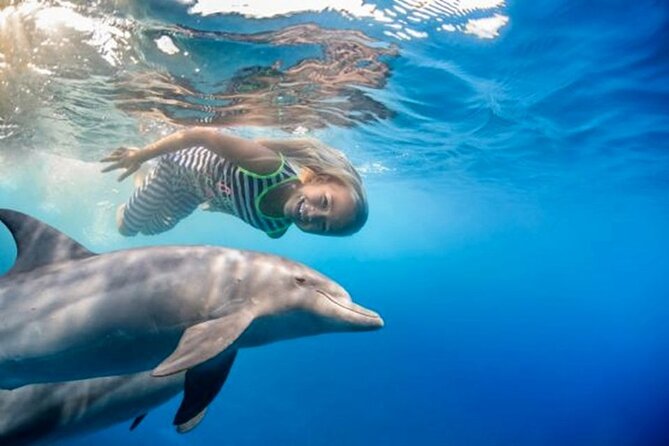 Dolphin House Royal Sea Trip With Lunch, Water Sport - Hurghada - Pickup and Transportation