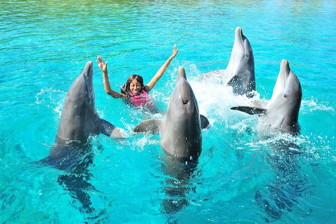 Dolphin House: Swim With Dolphins in Hurghada - Pricing and Cancellation Policy