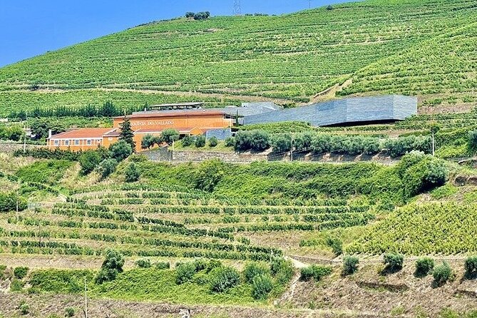 Douro Valley Exclusive Private Tour - Price and Booking Information