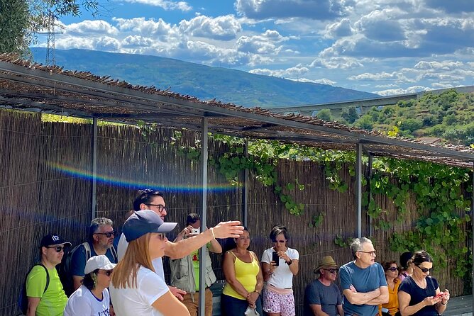 Douro: Walk at Quinta Do Vallado With Lunch and Wine - Lunch and Wine Tasting Highlights