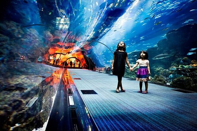 Dubai Aquarium and Underwater Zoo Admission Ticket - Accessibility Information