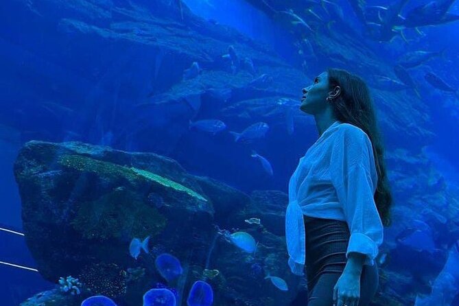 Dubai Aquarium and Underwater Zoo Tickets - The Sum Up