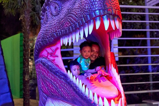 Dubai Garden Glow - Additional Information
