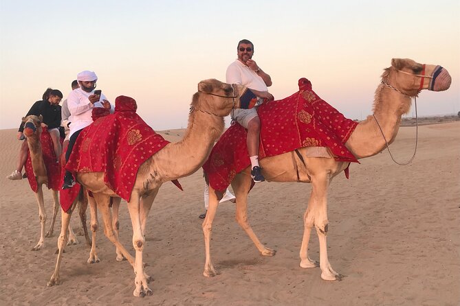 Dubai: Private Morning Desert Safari Falcon Camel & Sandboarding - Restrictions