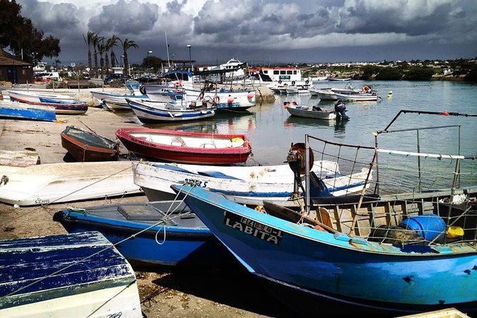 East Algarve Full Day (PRIVATE TOUR) - Safety Measures