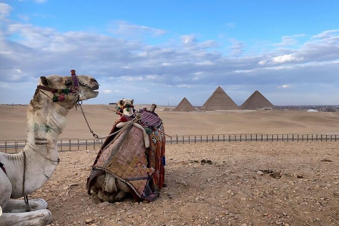 Egyptjolly Full-Day Tour to Giza Pyramids, Sphinx, Memphis, and Saqqara