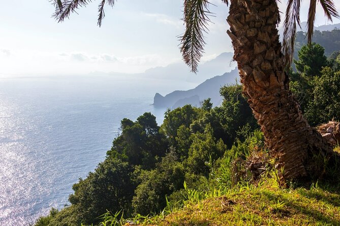 Enchanting East Madeira Tour - Operator Information