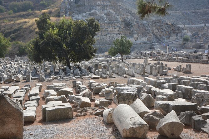 Ephesus Walking Tour With Public Transportation - Additional Information for Consideration