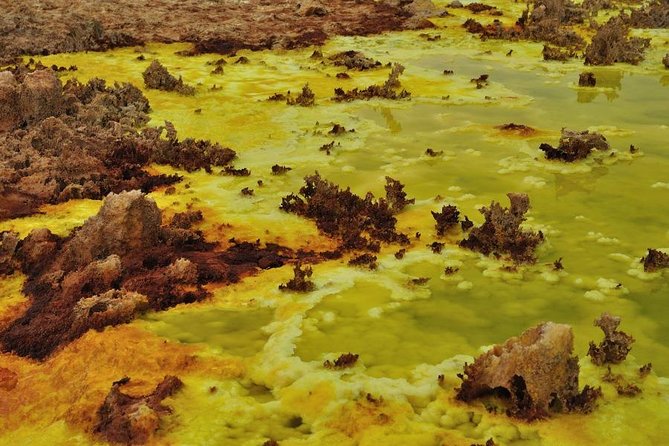 Ertaale and Dallol 6 Days Tour Package - Itinerary Details