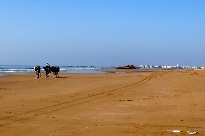 Essaouira City Day Tour From Marrakech - Additional Information
