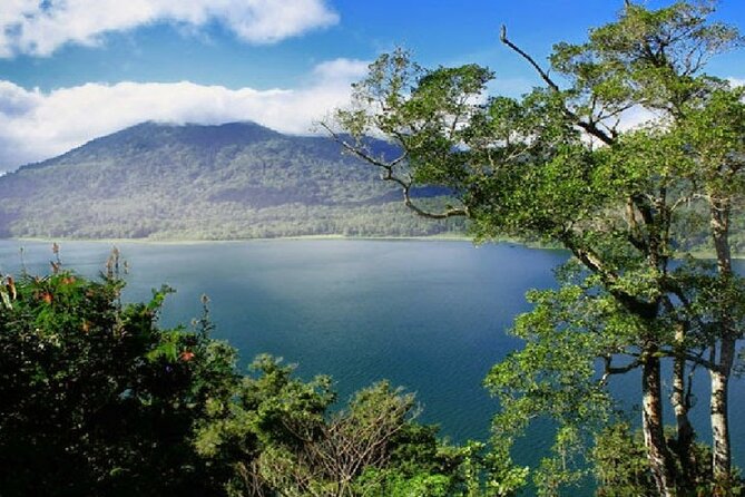 Exclusive Day Tour Waterfalls in Bali - Additional Details