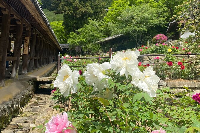 Exclusive Luxury Day Tours Serene Nara - Transportation and Amenities
