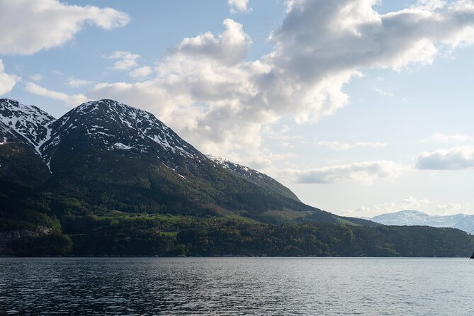 Exclusive & Private Hardangerfjord RIB Safari Tour From Ulvik - Pricing and Booking