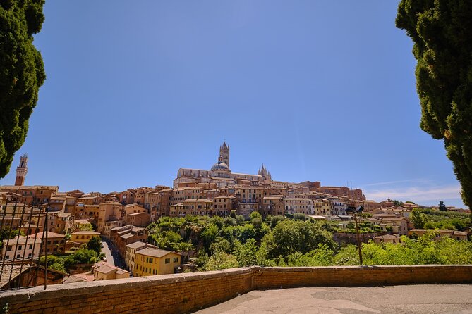 Exclusive Private Shore Excursion From Livorno Port to Siena and Chianti - Pricing and Variations