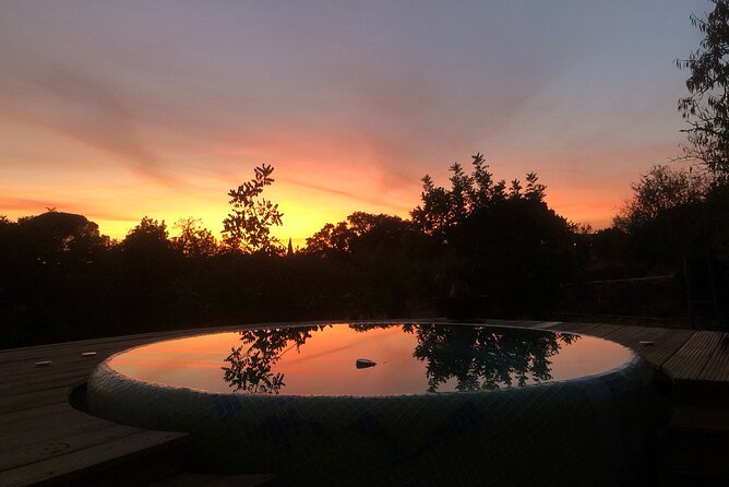 Exclusive Wine Tasting Experience in Porches (Algarve) - Additional Info