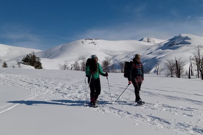 Excursion to Los Nevados, Villarrica National Park - Frequently Asked Questions