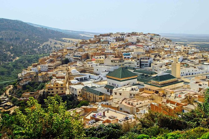 Excursions From Fez to Meknes Volubilis and Moulay Idriss - Pick-Up and Drop-Off