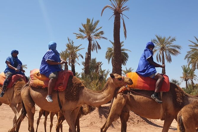 Experience Camel Quad Spa Hammam Massage - Price and Guarantee