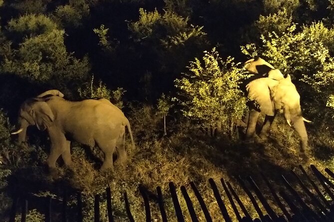 Experience Victoria Falls at Night With Baobab Juice Tasting - Booking Information